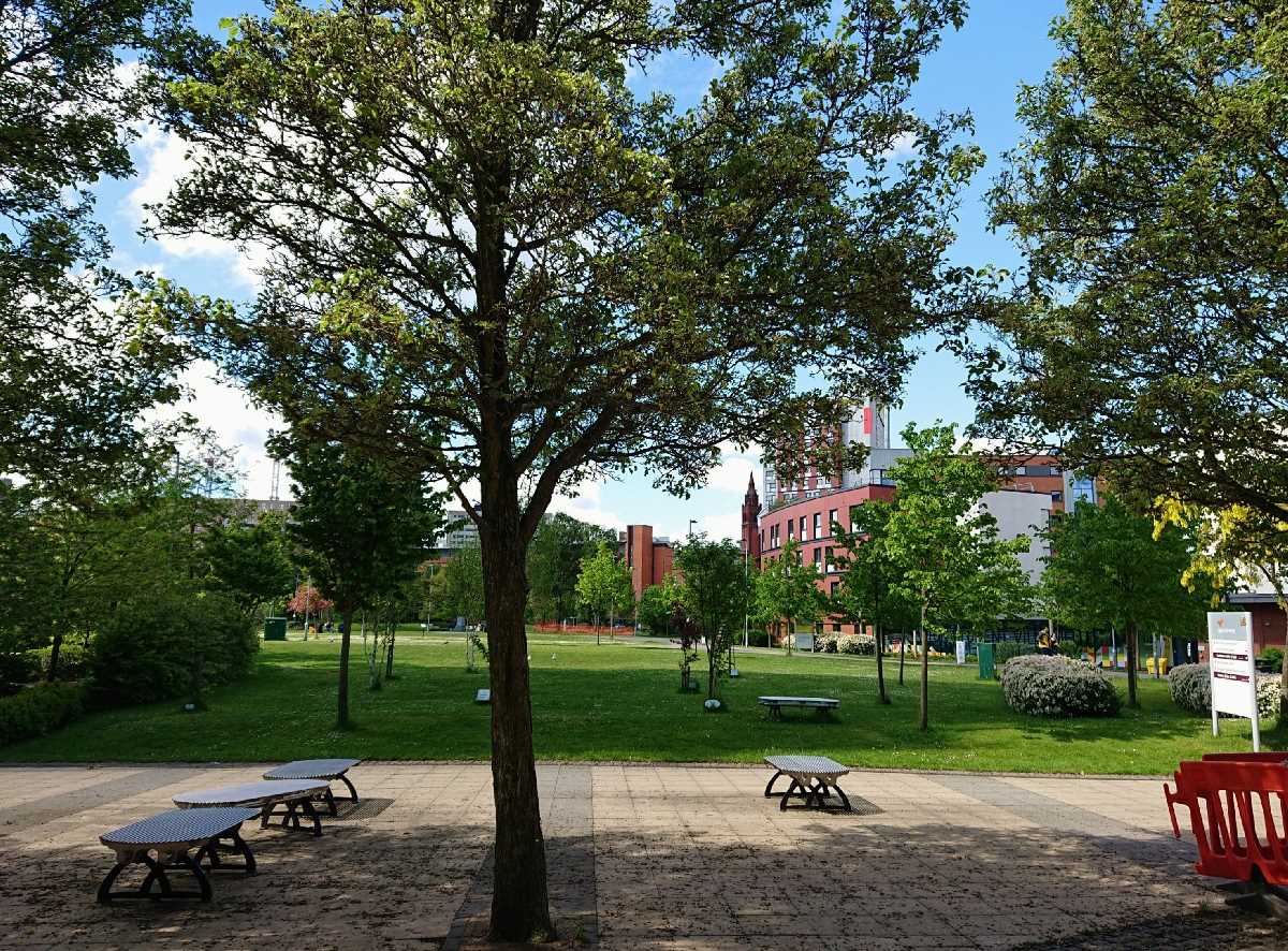 Aston University Green