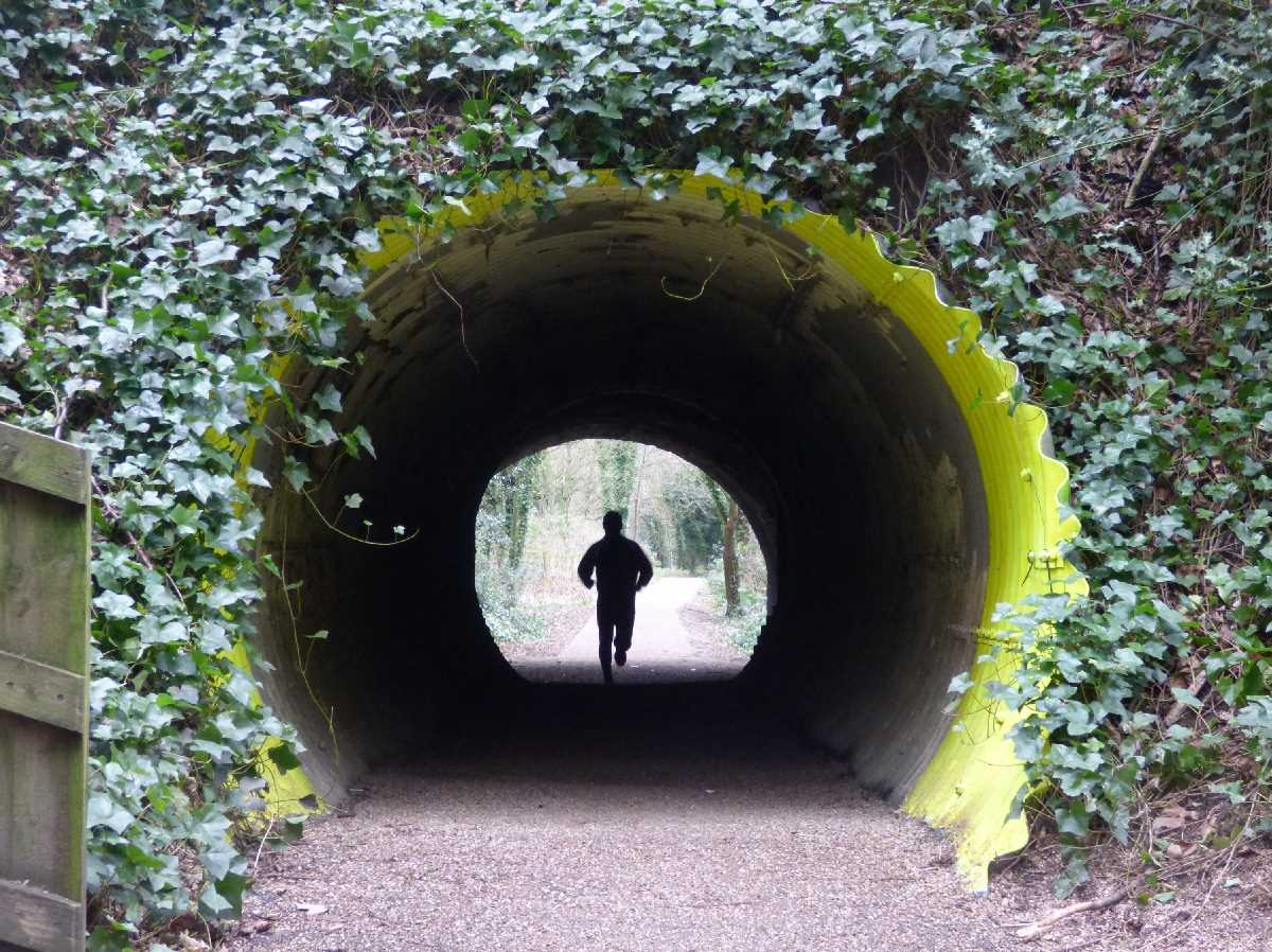 Harborne+Walkway+-+a+former+railway+line+in+Birmingham