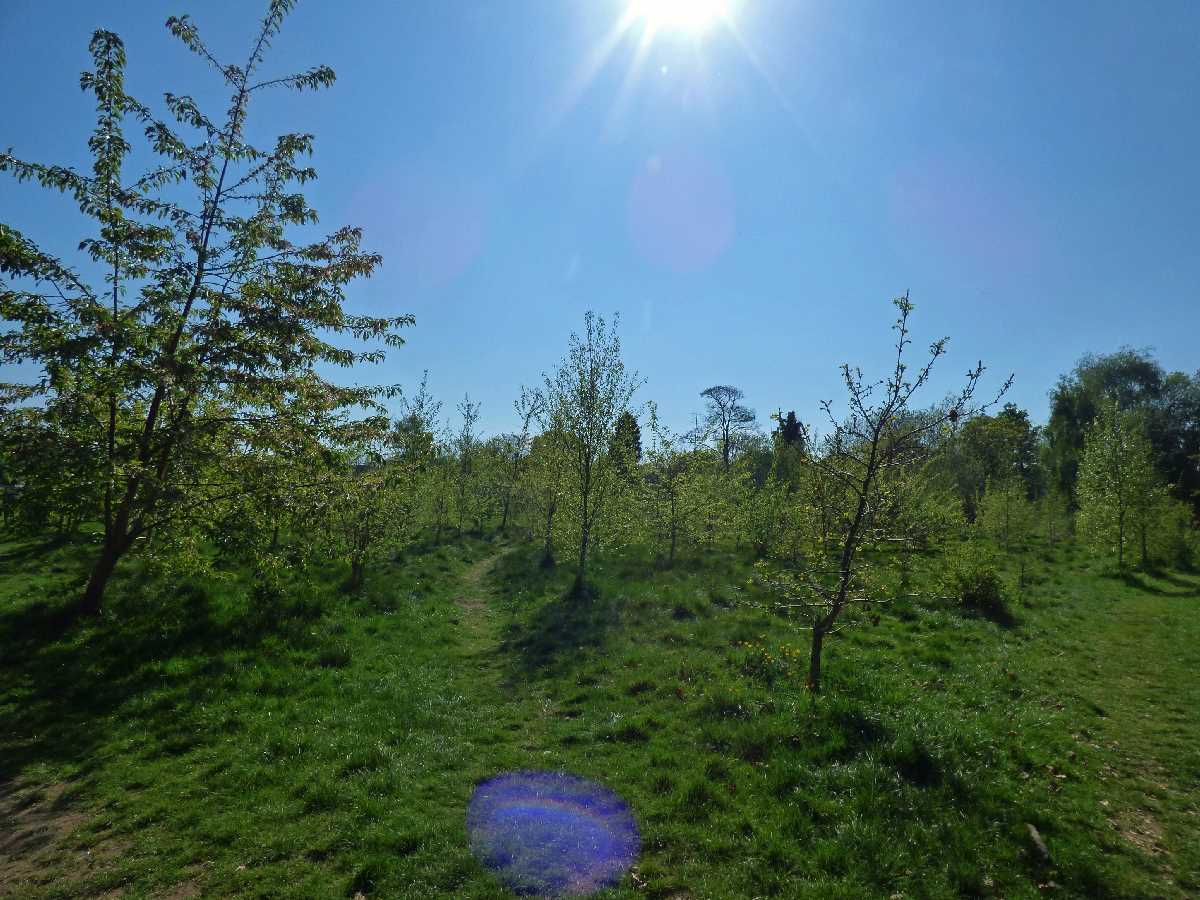 J.R.R. Tolkien and The Shire Country Park