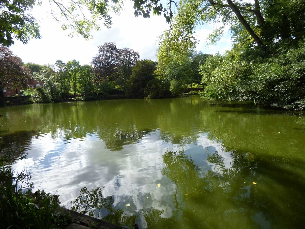 The only time I went around Moseley Park was during a free open day in 2016